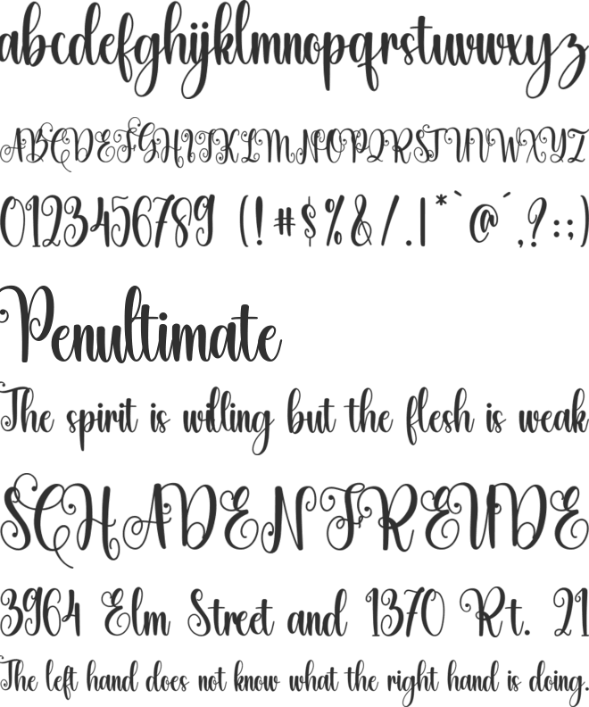 Wonderful Christmas font preview