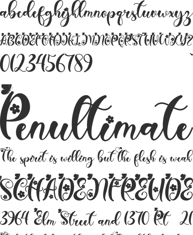 Janetha Spring font preview