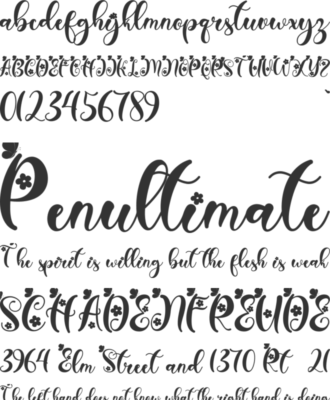 Janetha Spring font preview