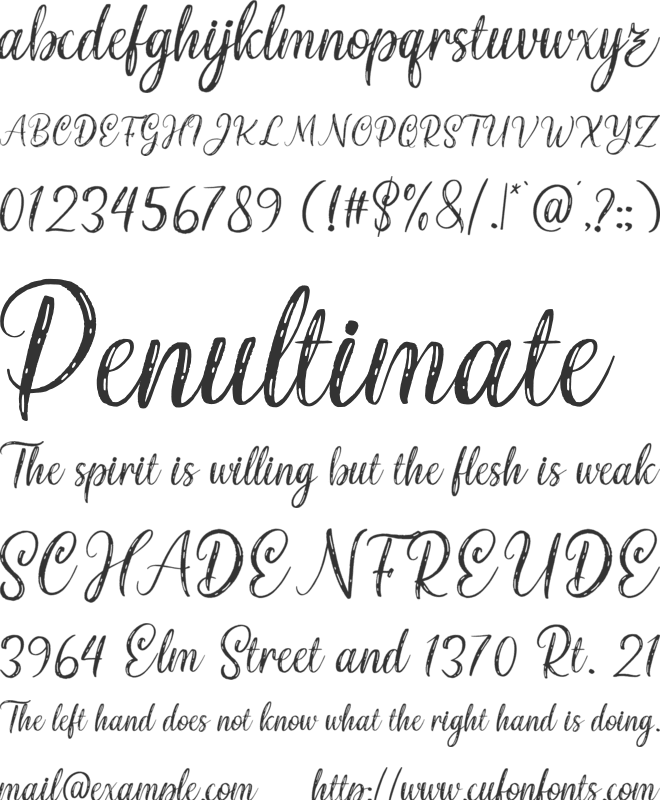 Seronita font preview