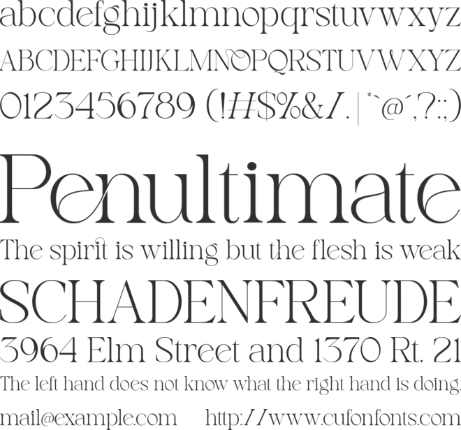 Notica Serif font preview