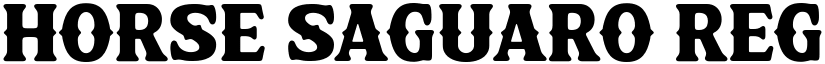 Horse Saguaro Regular font
