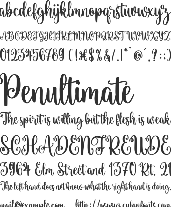 Christmas Wishes font preview