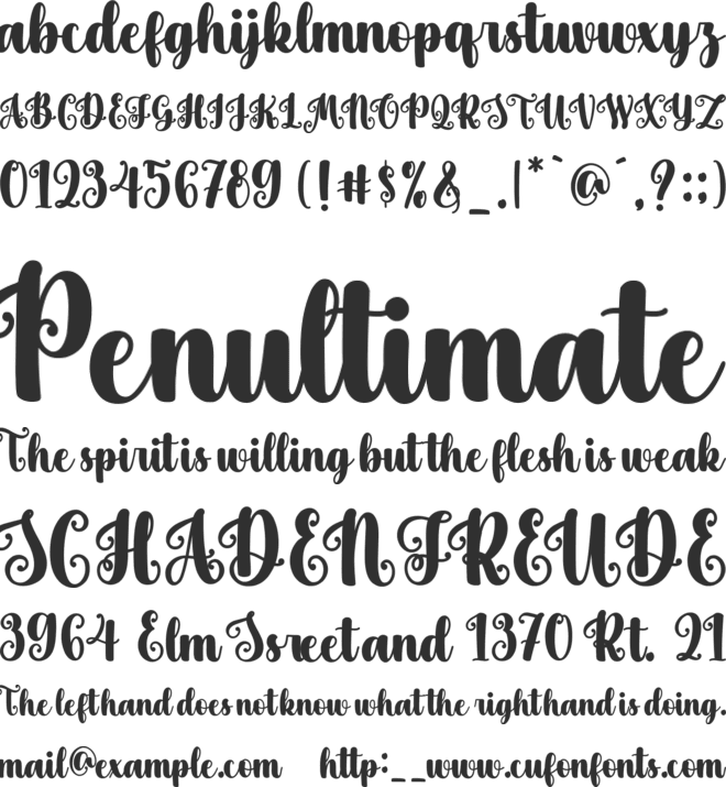 Holy Christmas font preview