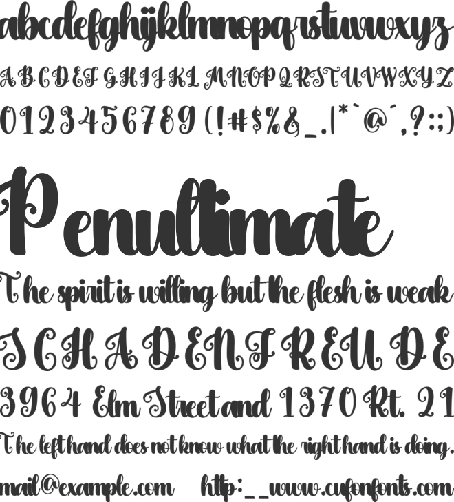 Holy Christmas font preview