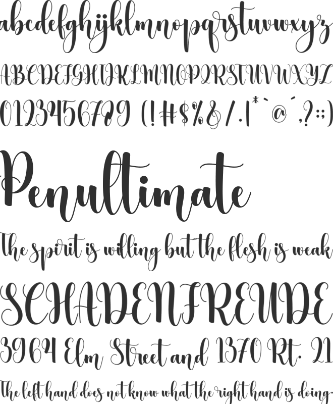 Mistletoe font preview