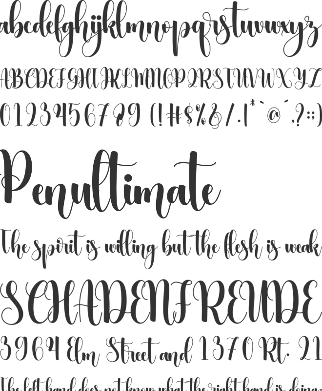 Mistletoe font preview