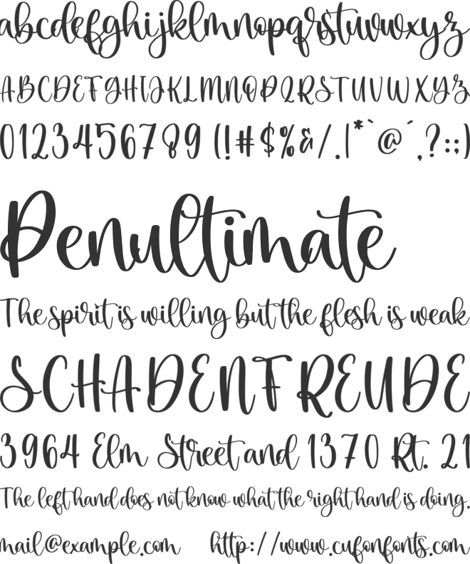 monday font preview
