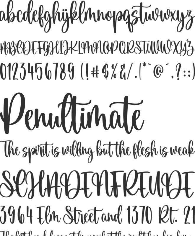 Snowfield font preview