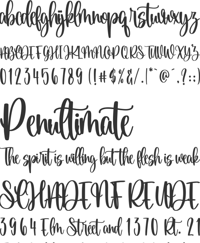 Snowfield font preview