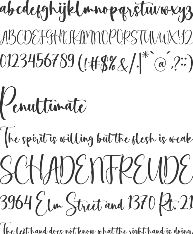 View Night font preview