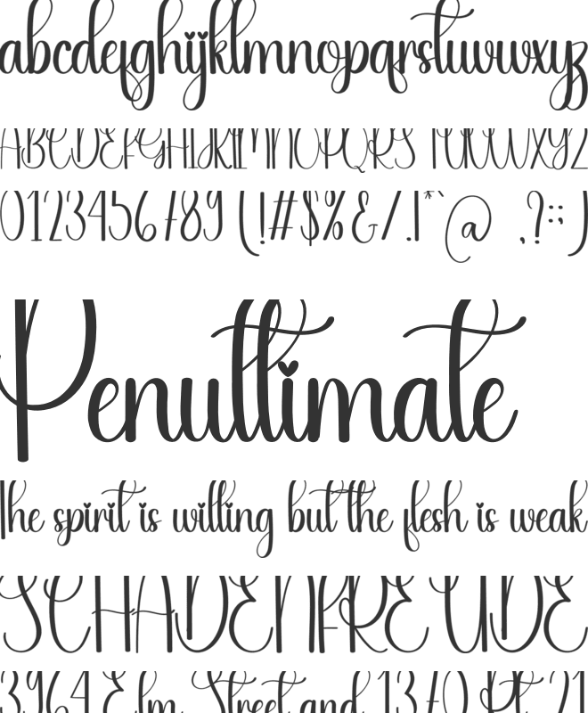 Signature Valentine font preview