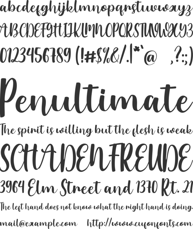 Hola Austin font preview