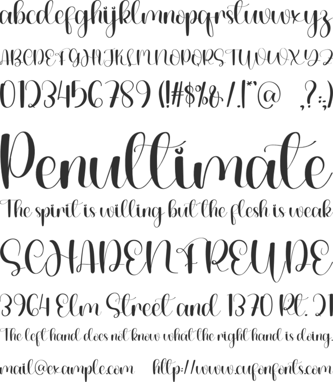 The Duck font preview