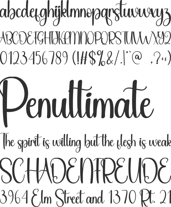 Shunshine font preview