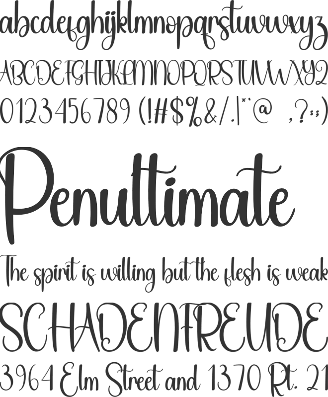 Shunshine font preview