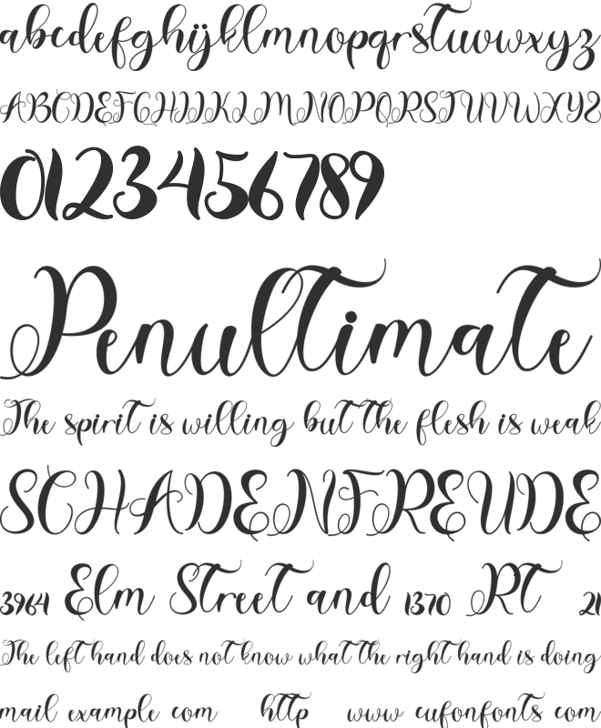Spring Style font preview