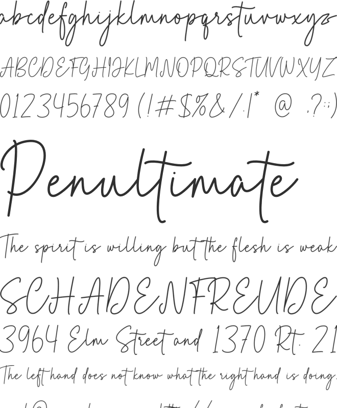 Bellary font preview