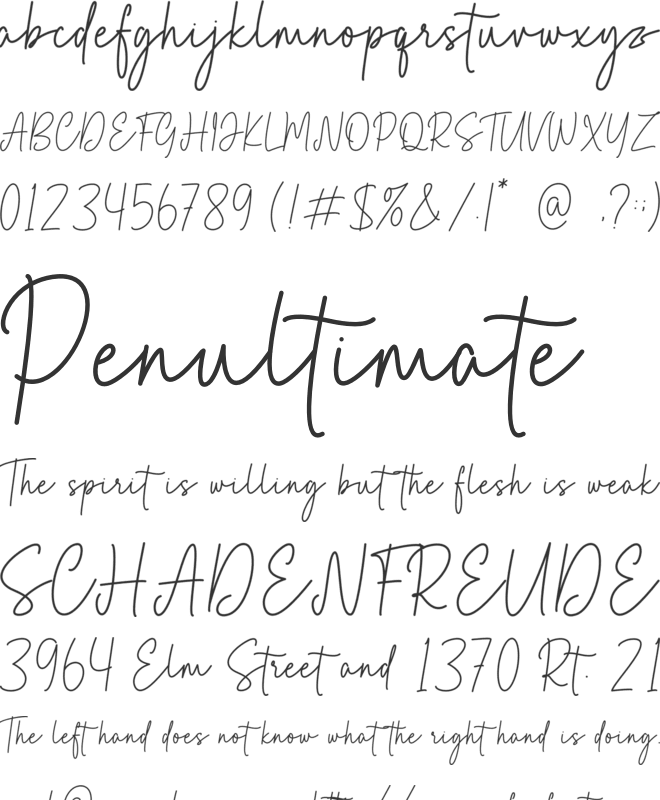 Bellary font preview