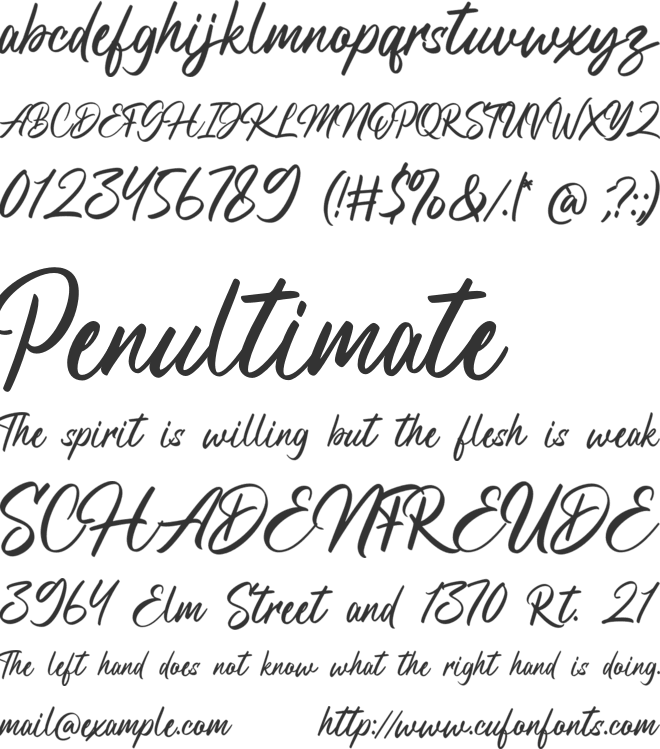 Belguri font preview