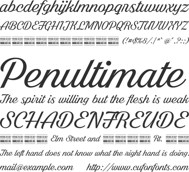 Bright Larch PERSONAL USE ONLY font preview