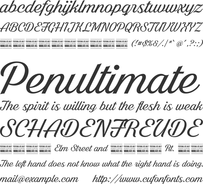 Bright Larch PERSONAL USE ONLY font preview