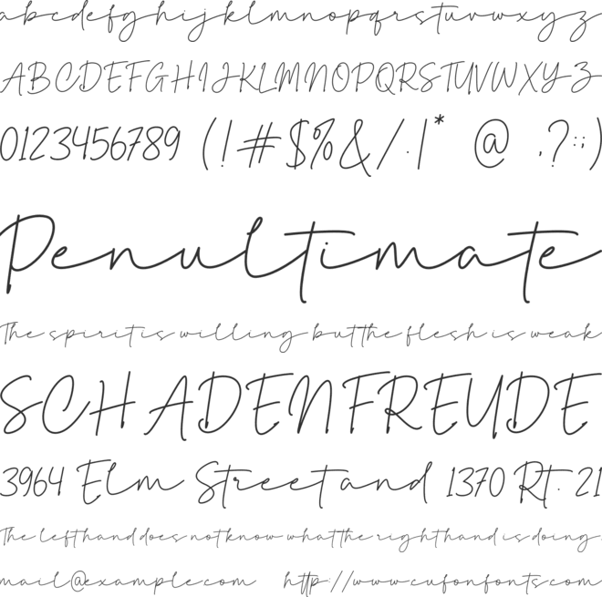 Brandise Signature font preview
