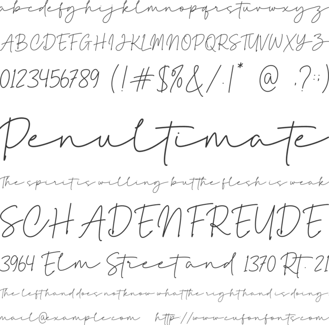 Brandise Signature font preview