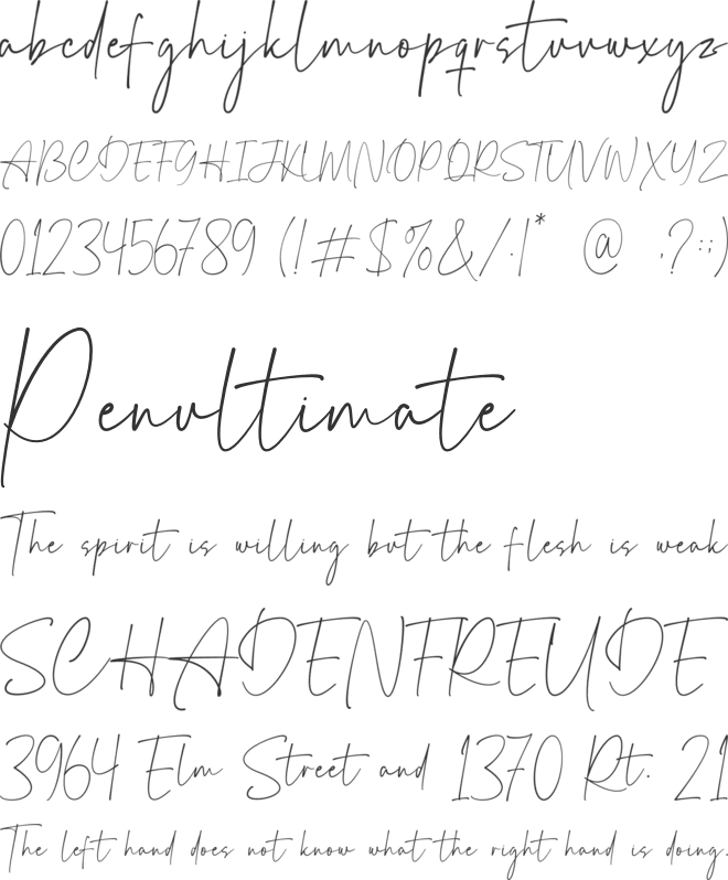 Katty Diona font preview