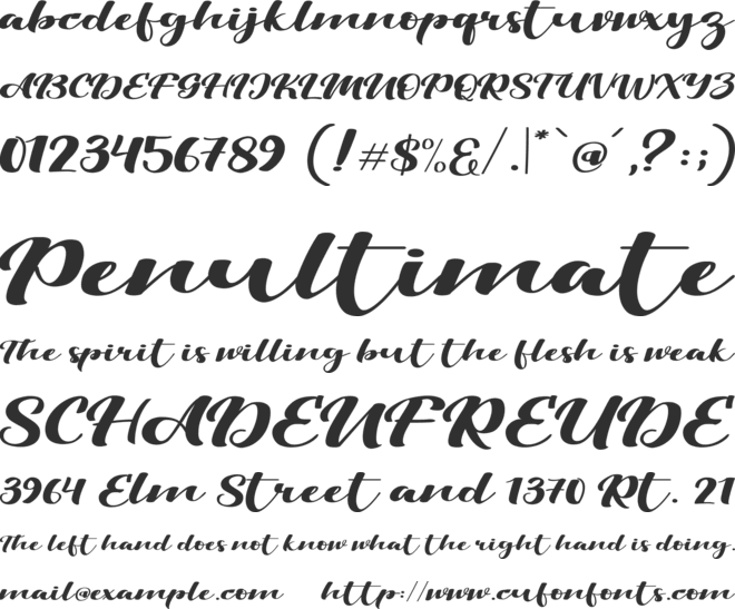 Viksi Script font preview