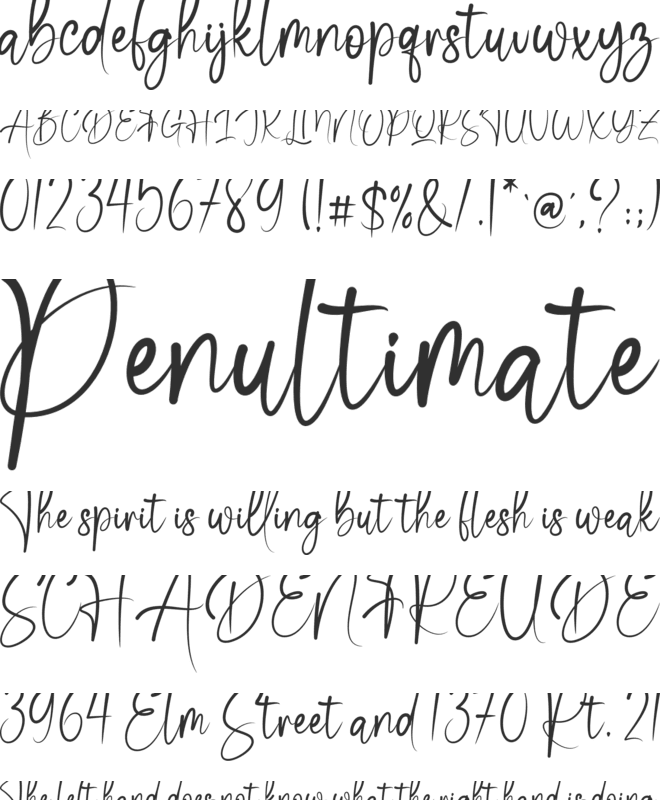 Dolphina font preview