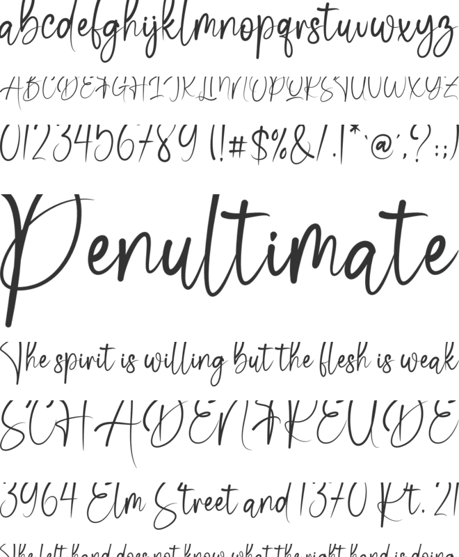 Dolphina font preview