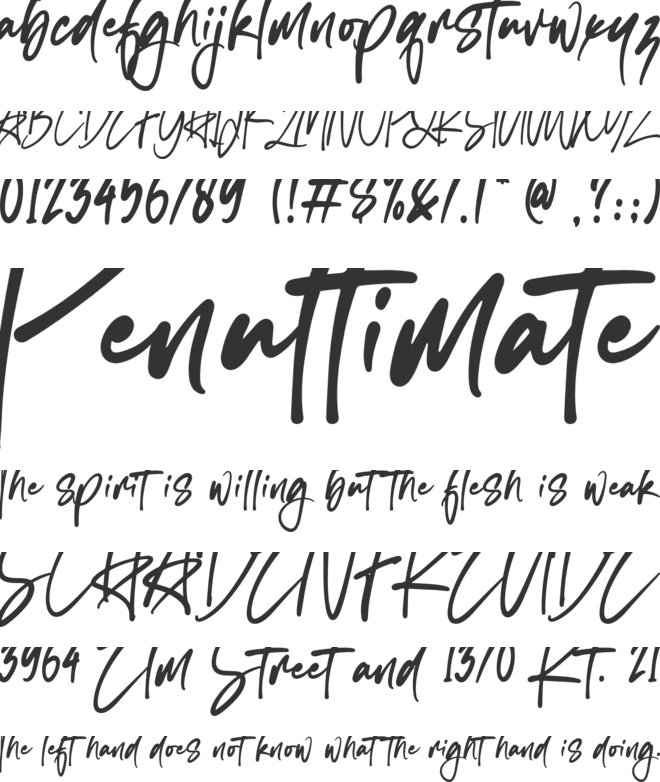 Maradona Junior font preview