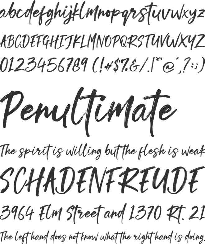 Doughty Brush font preview