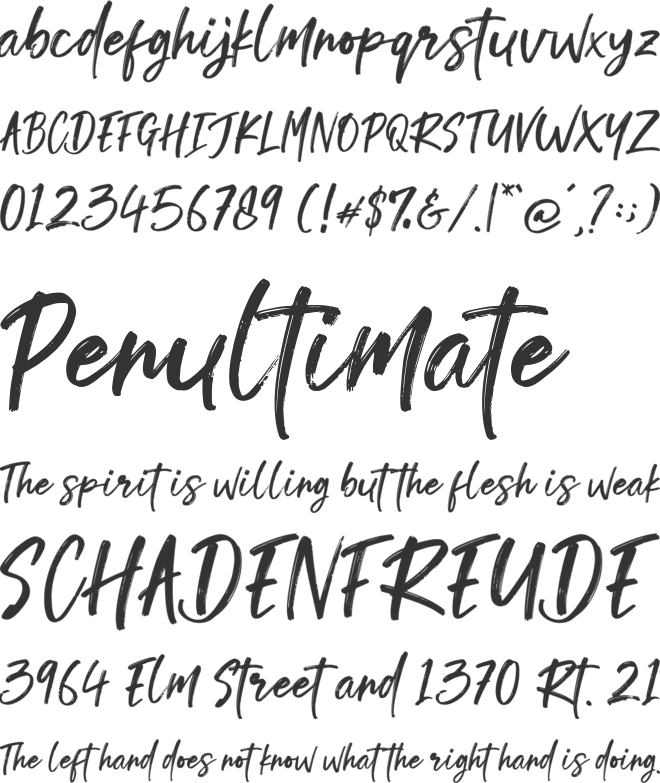 Doughty Brush font preview