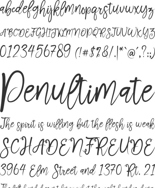 Belacios Brush font preview
