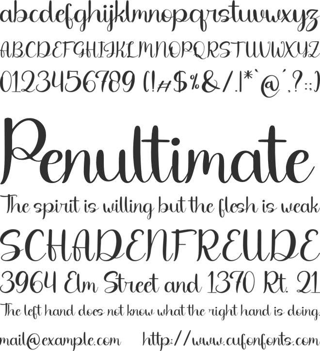 Cafenty font preview