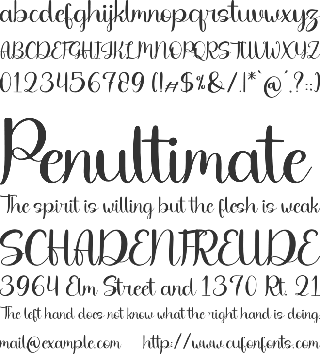 Cafenty font preview