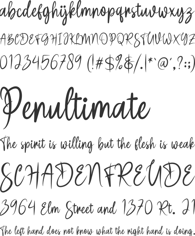 Skrine font preview