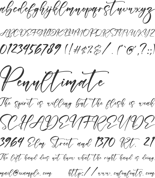 Tabernae Montana font preview