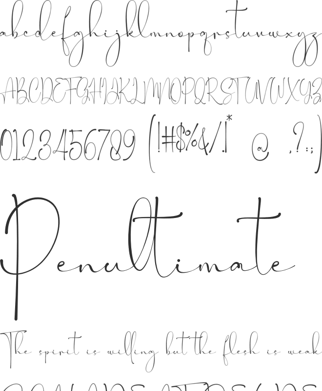 Maastricht font preview