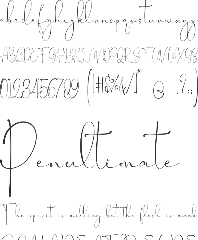 Maastricht font preview