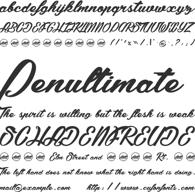 Summer Fever_PersonalUseOnly font preview