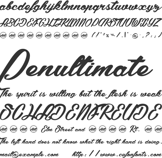 Summer Fever_PersonalUseOnly font preview
