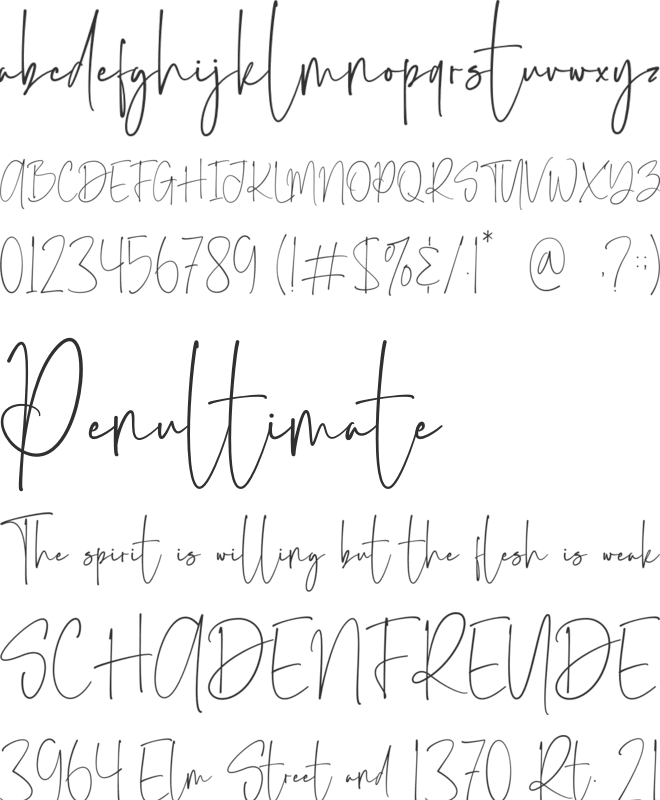 Daystar font preview