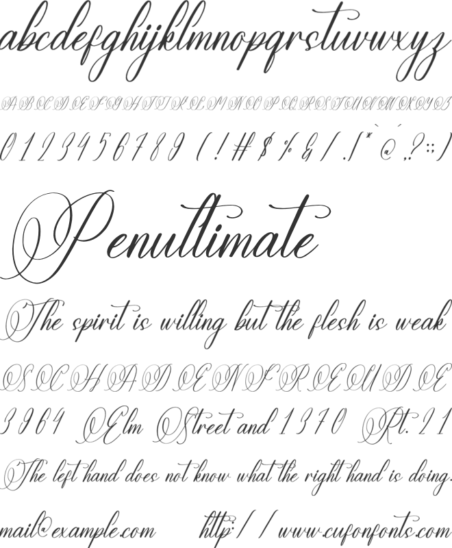 Natassha Sintaleny font preview