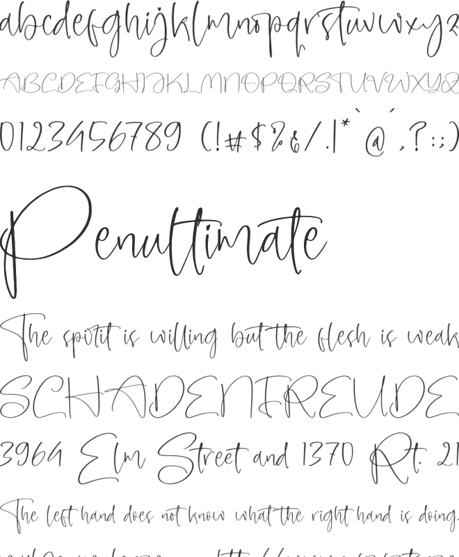 Amberony font preview