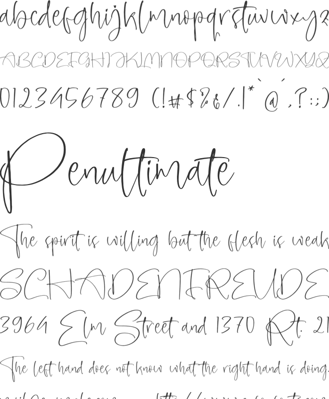 Amberony font preview