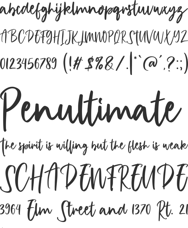 Mitterlies Personal Use Only font preview