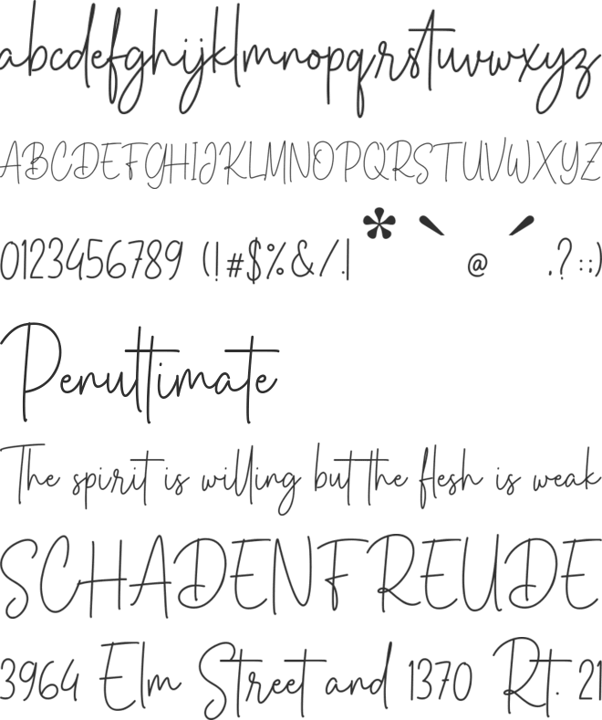 Reys Monstera font preview